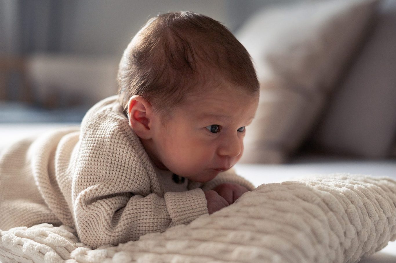 Preise Newborn Shooting